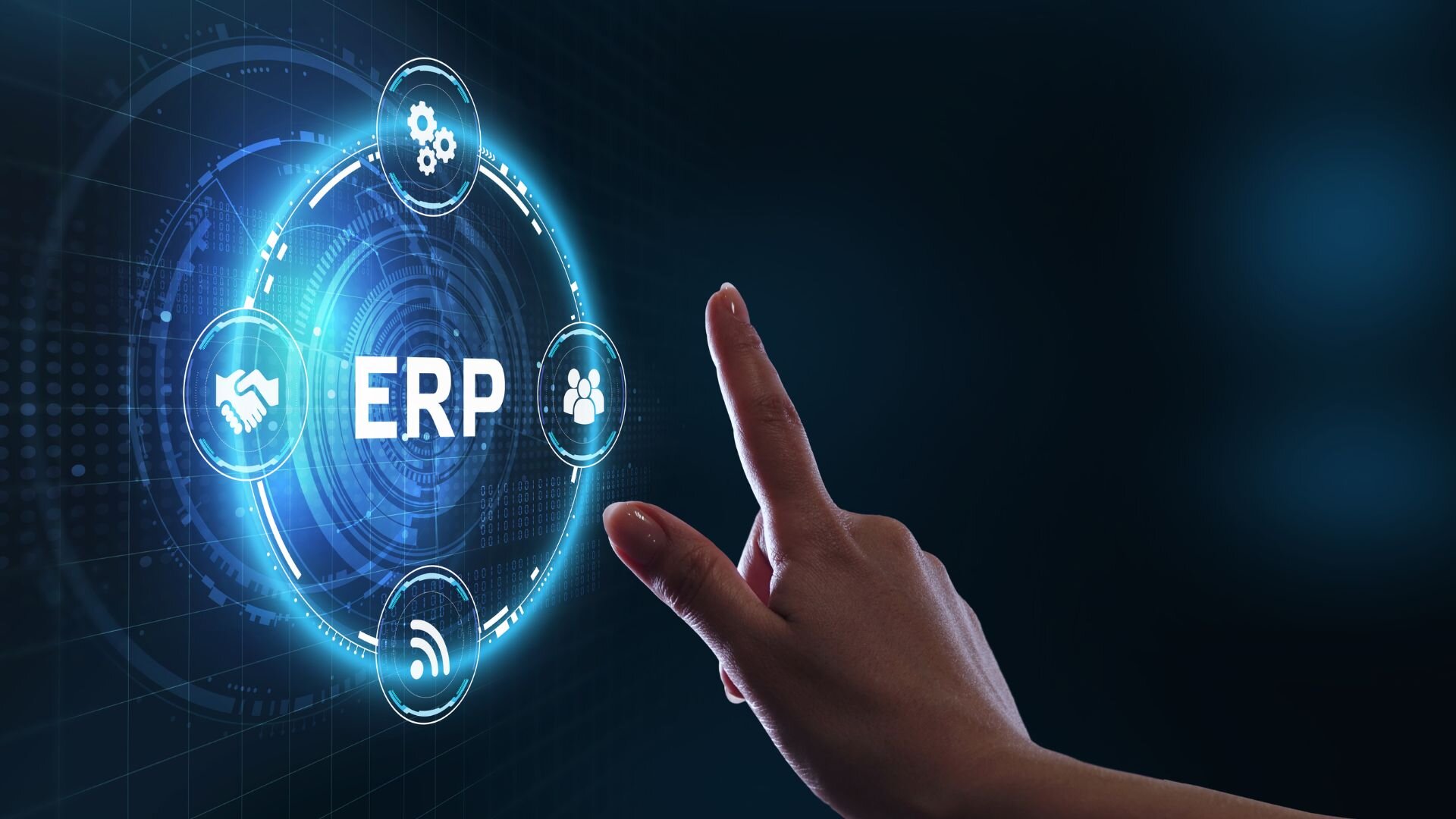 Professional Services Erp System